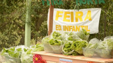 Educação Infantil realiza feira com a colheita da horta Mamãe Margarida