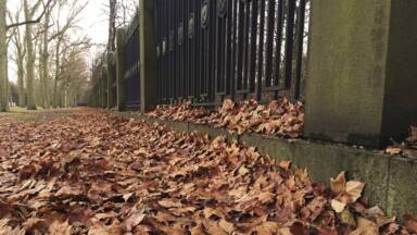 As opções nossas de cada dia