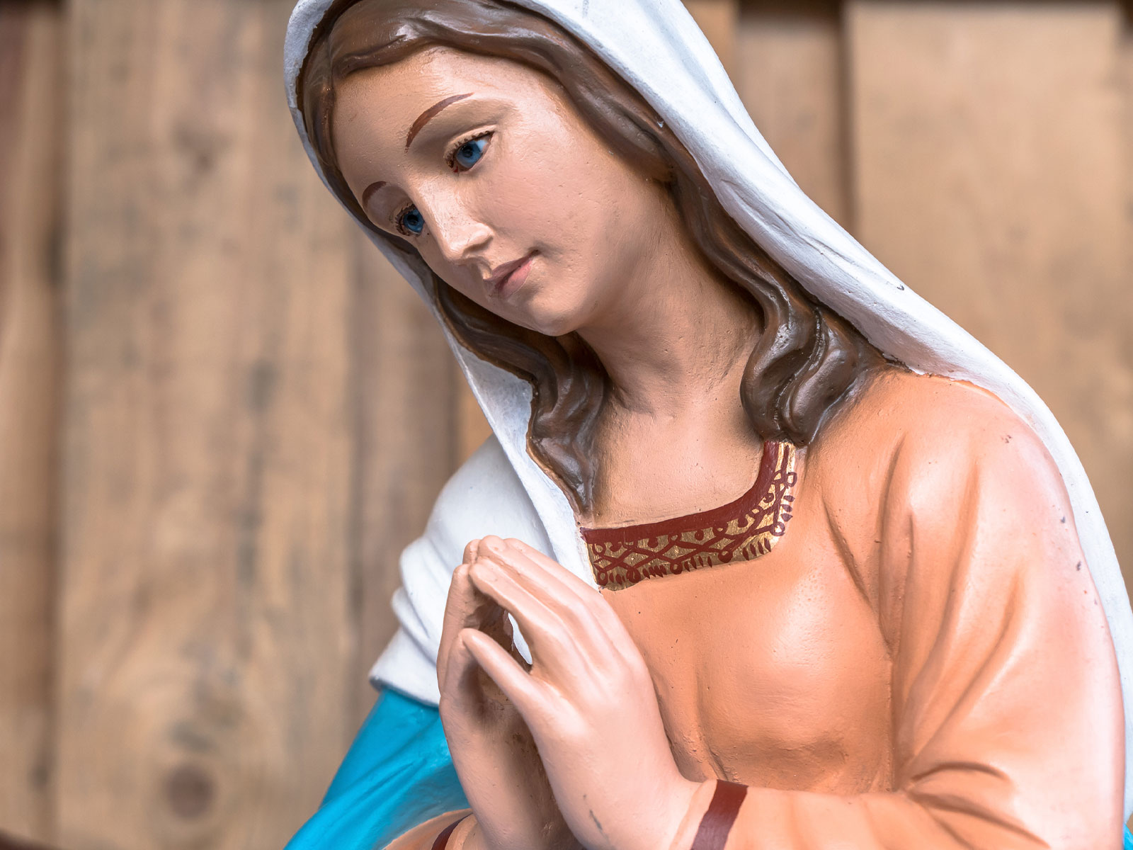 A-Virgem-Maria-é-a-mulher-da-docilidade