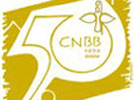 Como surgiu a CNBB?