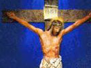 Salvos por Amor!