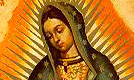 Nossa Senhora de Guadalupe!