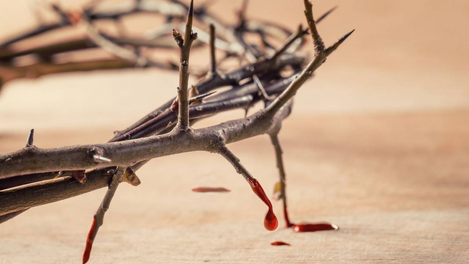 formacao_julho-mes-do-preciosissimo-sangue-de-jesus-cristo-1536x864.jpg