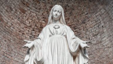 Nossa Senhora nos direciona a viver o caminho da ternura em nosso lar
