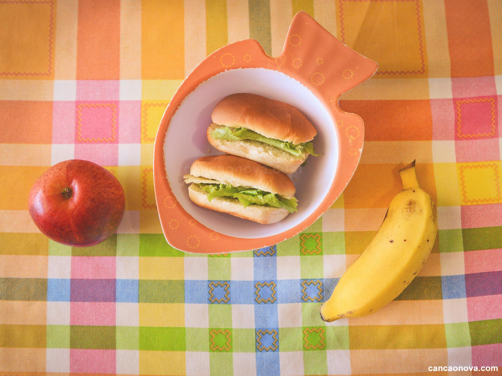 Quais-alimentos-usar-no-lanche-do-meu-filho