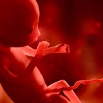 Vídeo de ultrassom mostra bebê de 11 semanas pulando no ventre materno
