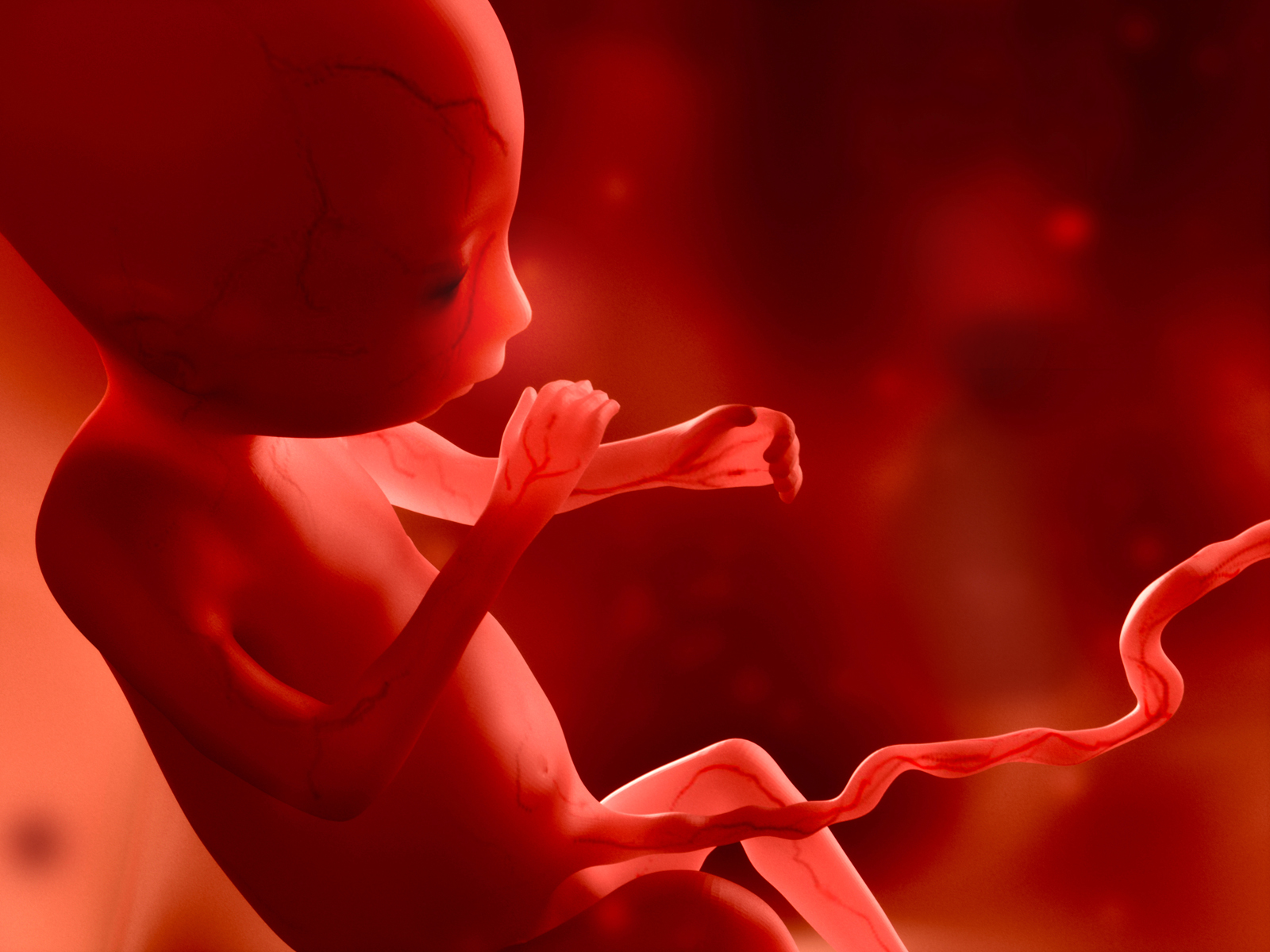 Cinco principais mentiras que estão por trás da legalização do aborto