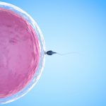 O-que-fazer-com-os-embriões-que-sobram-após-a-fertilização-in-vitro-