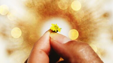 Reconhecer o agir de Deus é uma necessidade para nós