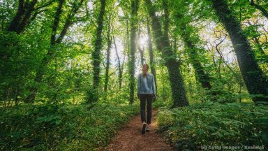 Cuidado com as distrações no caminho