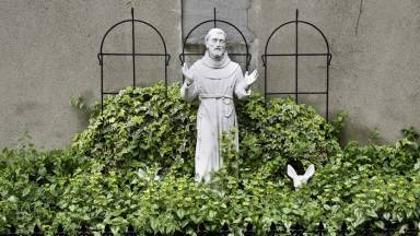 Por que São Francisco é o protetor dos animais?