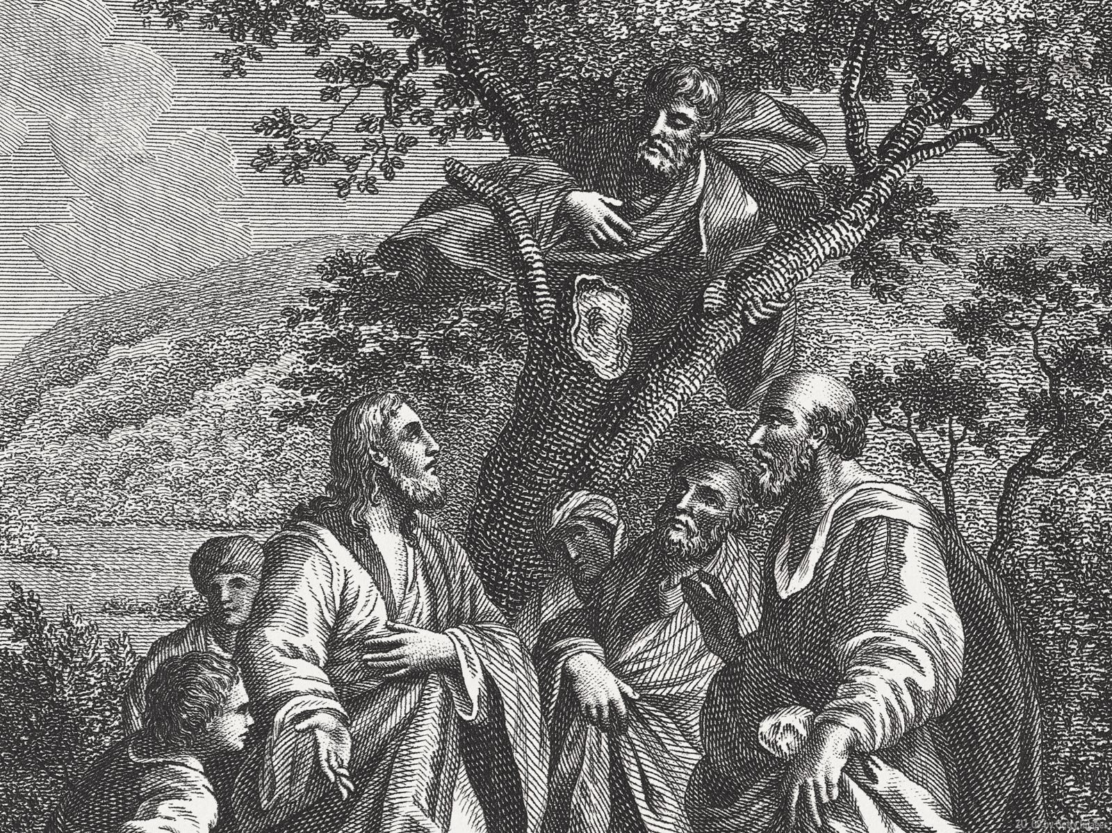 Uma breve reflexão do encontro de Zaqueu com Jesus