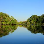 Igreja e meio ambiente, olhos voltados para a Amazônia