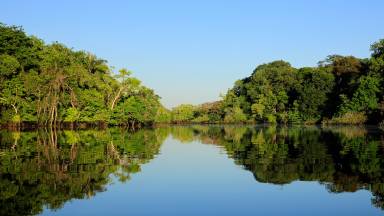 Igreja e meio ambiente, olhos voltados para a Amazônia