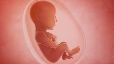 Aborto: o ventre da mãe é um ambiente sagrado