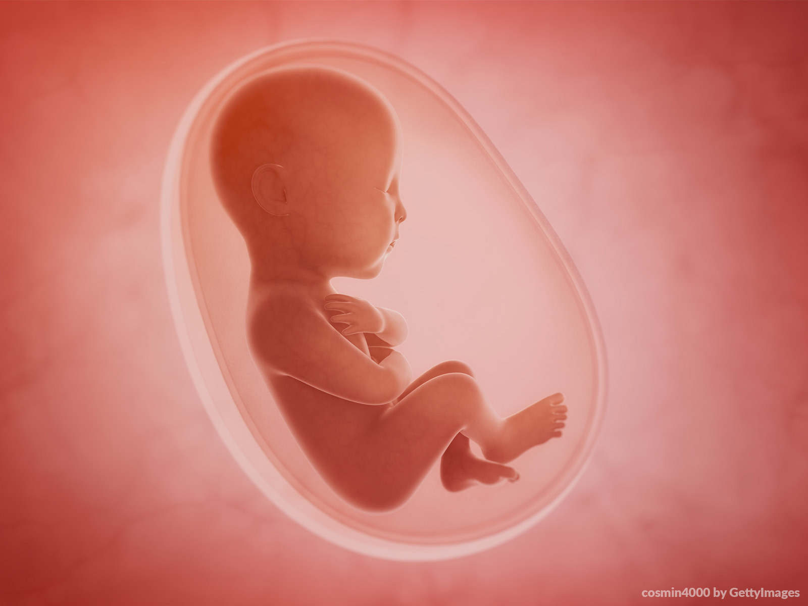 Aborto o ventre da mãe é um ambiente sagrado