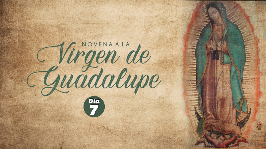 Novena a la Virgen de Guadalupe 7º Día Reze con nosotros