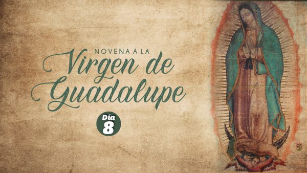 Novena a la Virgen de Guadalupe 8º Día