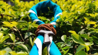 O Escotismo e os valores cavaleirescos