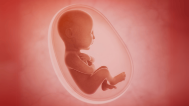 O aborto provocado aos nove meses é um crime contra a humanidade