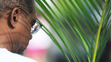 Domingo de Ramos e da Paixão: caminho de entrega e esperança