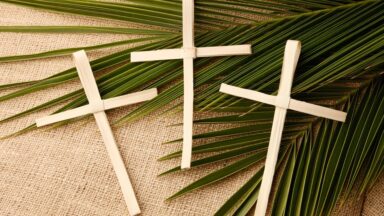 A importância do Domingo de Ramos