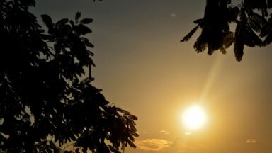 Mãe e Rainha da Criação