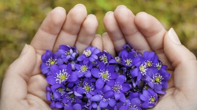 Entenda por que a esperança é o combustível da vida