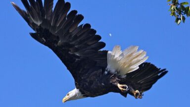 O segredo da esperança