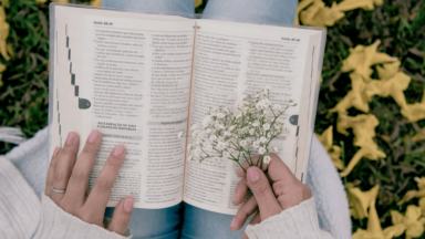 A Santa Escritura: história do povo a caminho