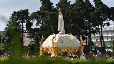 Nossa Senhora do dia a dia, a Mãe que caminha conosco