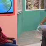 Medidas para combater as pragas urbanas