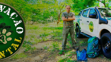 Preservação Ambiental