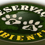 Preservação Ambiental