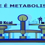 Obesidade, uma doença inflamatória