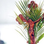 TVCN celebra o Domingo de Ramos