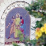 A negação de Pedro