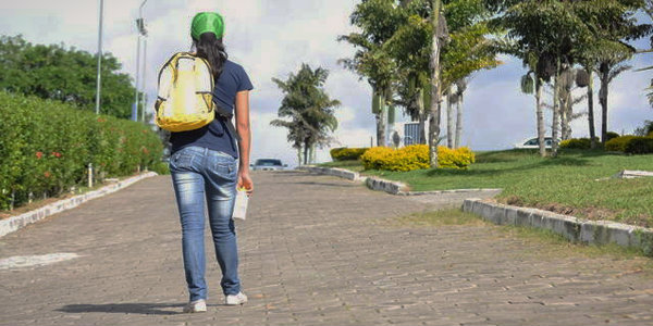 Dicas para uma viagem tranquila e segura