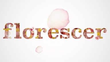 Florescer