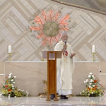 Quem você está seguindo?