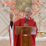 Que sua língua não seja pedra para o outro