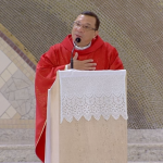 Com coragem, viver o testemunho da fé