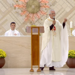 Fixar nossas raízes em Deus