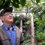 A importância do papel de um pai na família