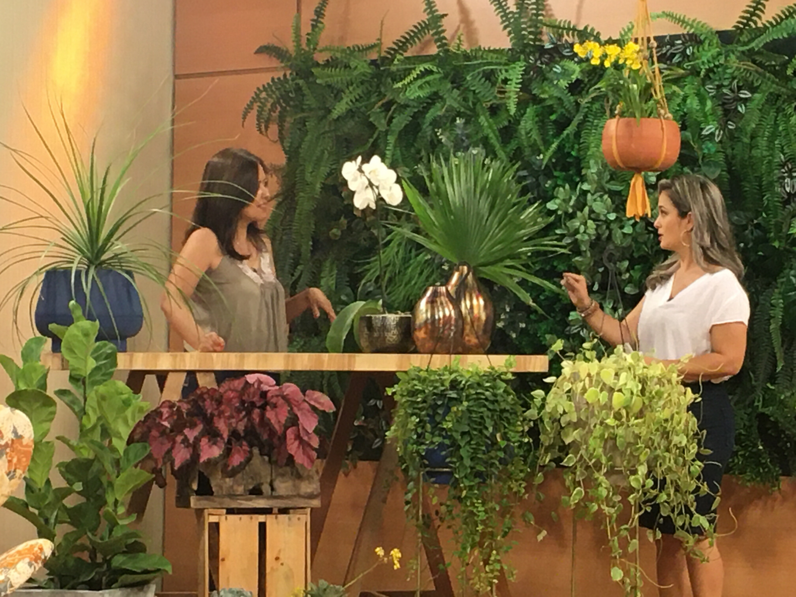 Dicas de decoração com plantas - TV