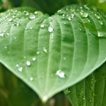 Simpósio Ambiental apresenta ações concretas pela sustentabilidade