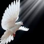 Pentecostes é a vida sob a ação do Espírito Santo