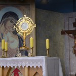 Viva a alegria mesmo diante dos problemas