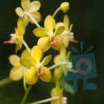 Primavera, tempo de celebrar a força da vida