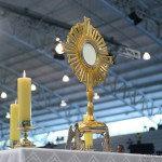 Não perca a alegria pela vida